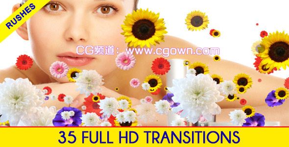 Videohive-转场包动态素材Editors Transition Pack