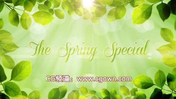 春天The Spring Special – Promo Pack – Videohive AE模板