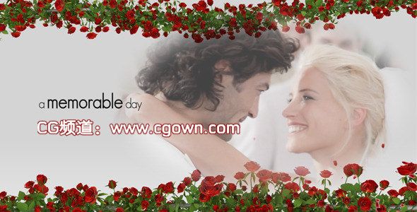 AE模板Videohive 唯美漂亮的婚禮包裝 Wedding Trailer