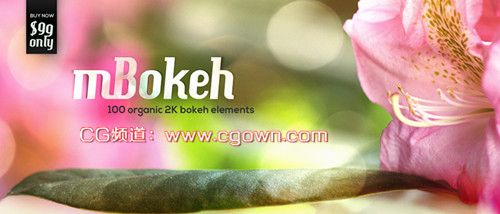 100组2K光斑炫光素材mBokeh – 100 Organic 2K Bokeh