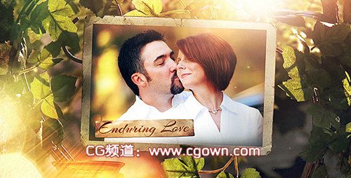 秘密花園照相館The Secret Garden Photo Gallery videohive AE模板