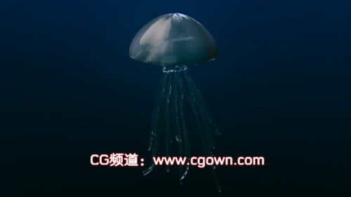 C4D – 水母动画教程Cinema 4D – Jellyfish Animation Tutorial