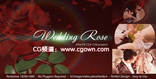 玫瑰婚禮videohive Wedding Rose AE模板
