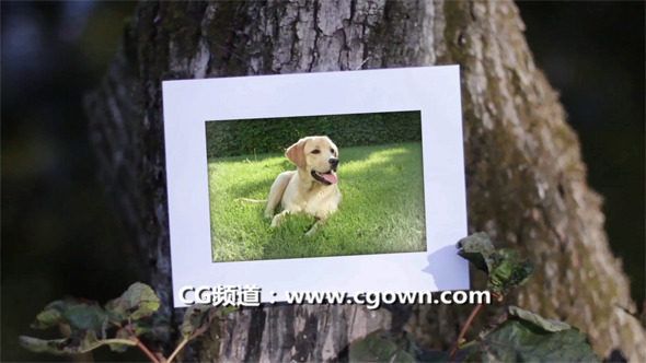 秋江照相相冊Videohive Autumn River Photo Gallery AE模板
