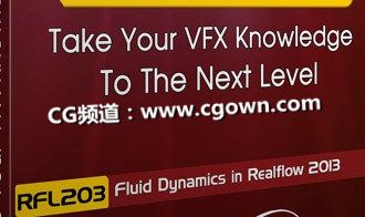 FXPHD – RFL203: Fluid Dynamics in Realflow 2013液体动力学教程