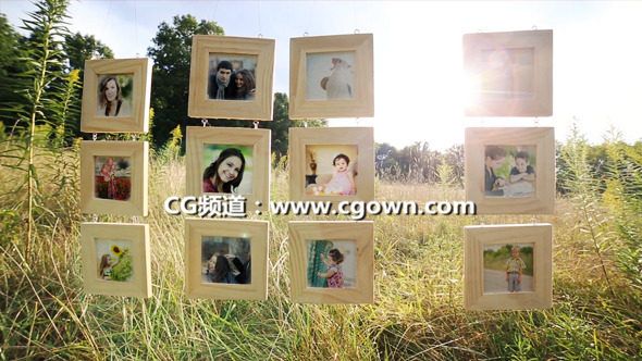 掛木框架畫廊Videohive Hanging Wood Frames Gallery AE模板