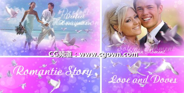 愛與鴿子Videohive Love And Doves AE模板