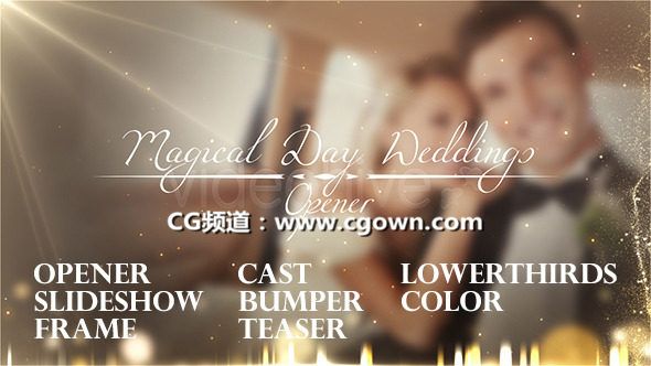 唯美粒子婚禮相冊視頻包裝Videohive Magical Day Weddings Pack AE模板