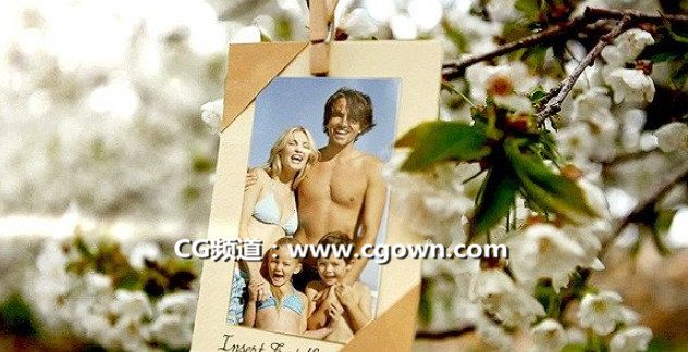 果園照片幻燈片Videohive Photos hanging in an orchard AE模板