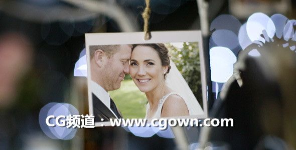 AE模板-Videohive Photo Gallery at a Country Wedding II 婚禮相片包裝