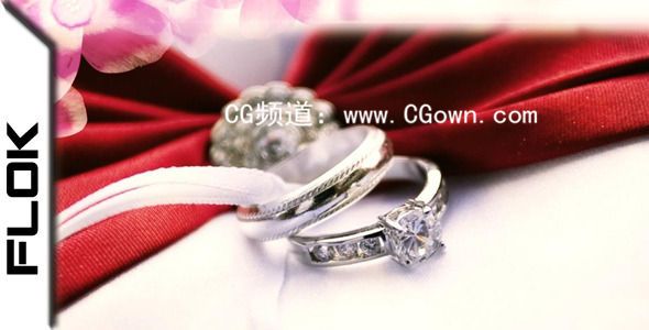 婚禮視頻包裝 Wedding Vortex AE模板