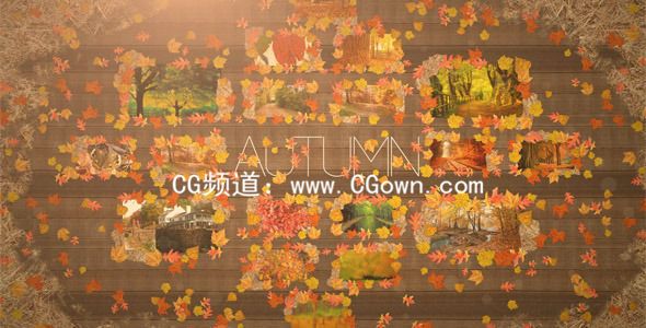 秋季風(fēng)味相冊包裝Videohive Autumn AE模板