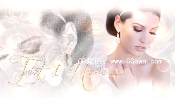 美麗的新娘Videohive Beautiful Bride AE模板