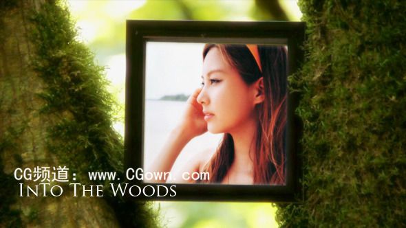大樹林相冊Videohive Into The Woods V1.0 AE模板