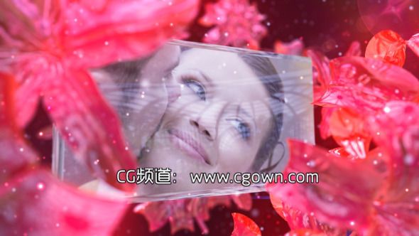 AE模板-超漂亮水晶花童話婚禮相冊Videohive Wedding Fairy