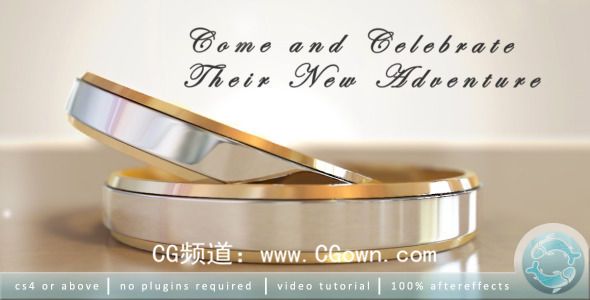 婚禮請柬視頻制作Videohive Wedding Invitation AE模板