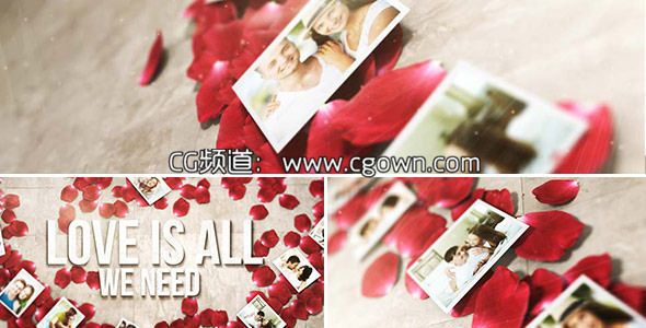 玫瑰花瓣心相冊Videohive Rose Petals Heart Photo Gallery AE模板