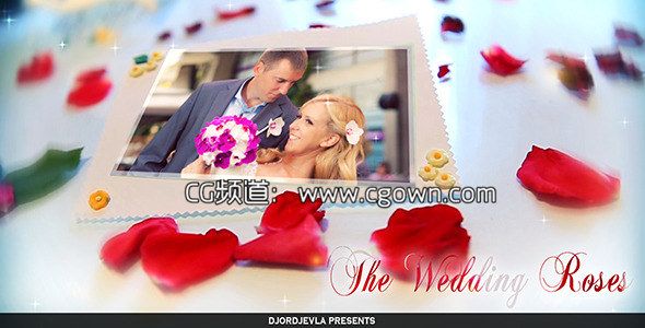 唯美玫瑰婚禮相冊Videohive The Wedding Roses AE模板