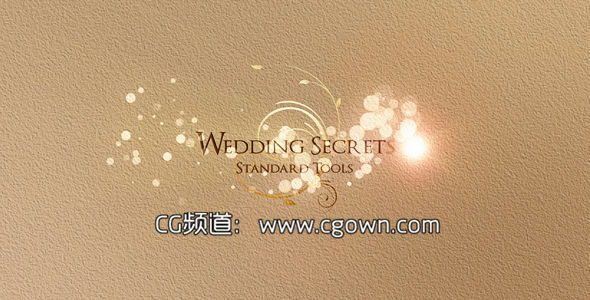 浪漫婚禮VideoHive Wedding Secrets AE模板