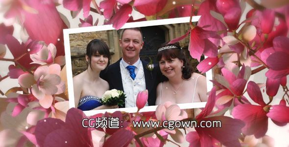 美麗的婚禮時刻Videohive Beautiful Wedding Moments AE模板