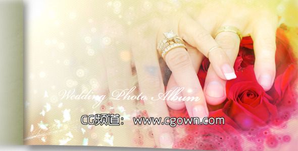 婚禮相冊幻燈片Videohive Wedding Photo Album And Slideshow II AE模板