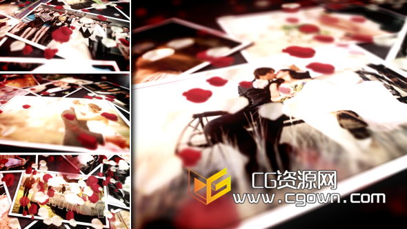 花婚禮照片相冊 Videohive Floral Wedding Photos AE模板