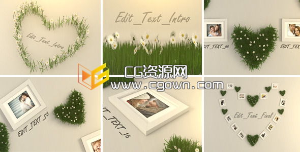 心型小草情人節(jié)照片 VideoHive Valentine Photo 6711968 AE模板