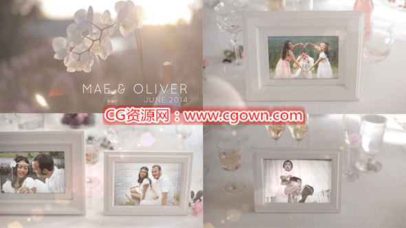 優(yōu)雅白色特別婚禮相冊專輯 White Photo Gallery Special Events AE模板