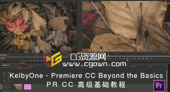 KelbyOne – Premiere CC Beyond the Basics 高级基础教程