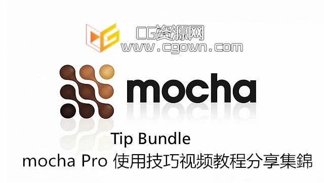 中文字幕 mocha Pro 使用技巧视频教程分享集錦
