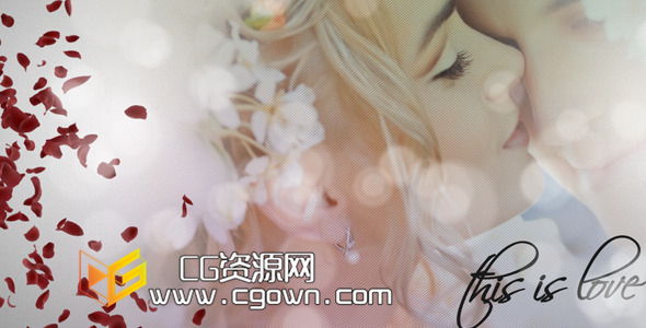 玫瑰花瓣 婚禮相冊(cè) Videohive Wedding Album AE模板