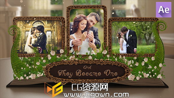 婚礼相册书籍翻页 太生动动画 Videohive Wedding Album Pop up Book AE模板