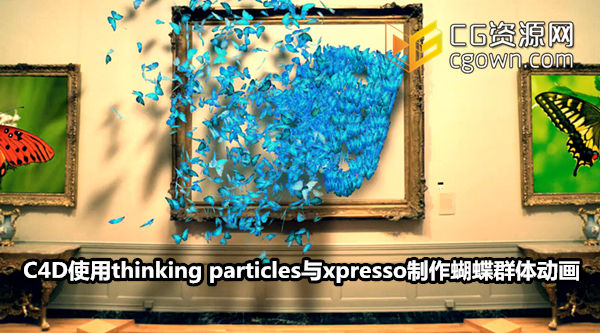 C4D制作蝴蝶群体动画教程 Cinema4dtutorial utterfly Thinking Particles Xpresso
