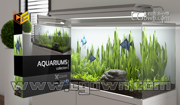C4D水族馆植物模型 CGAxis Models Volume 24 Aquariums  格式max/c4d/fbx/obj
