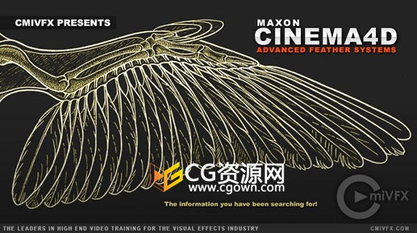 C4D教程 产品级翅膀羽毛建模系统高级技术训练 Cinema4D视频教程
