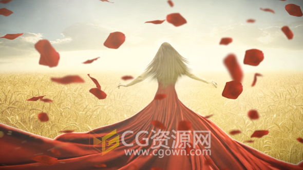AE模板飄落的玫瑰花瓣轉(zhuǎn)場展示情人節(jié)照片相冊視頻動畫 免費下載