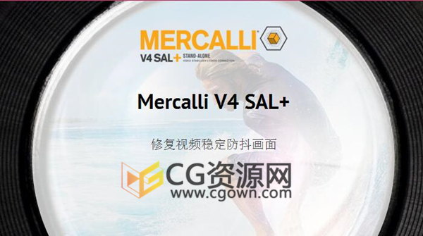 下载安装 proDAD Mercalli V4+0.471 Vegas插件修复视频稳定防抖画面
