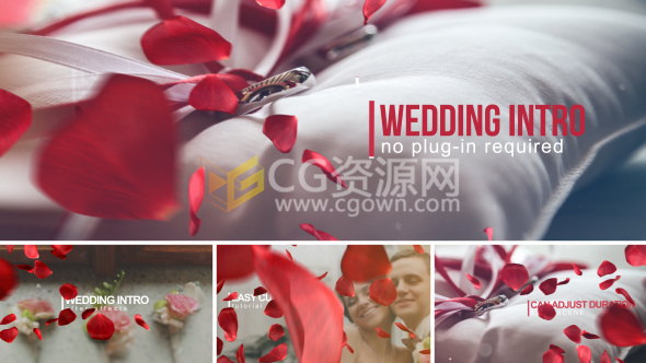 玫瑰花瓣動(dòng)畫過(guò)渡婚禮照片相冊(cè)視頻效果制作工程-下載AE模板