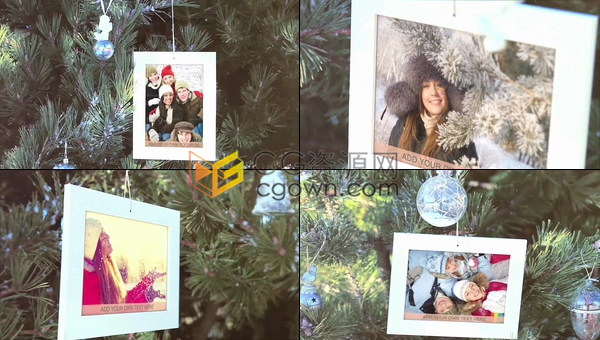 冬季美丽照片摄影作品视频相册圣诞树枝轻轻摇摆合成图像展示效果-AE模板下载