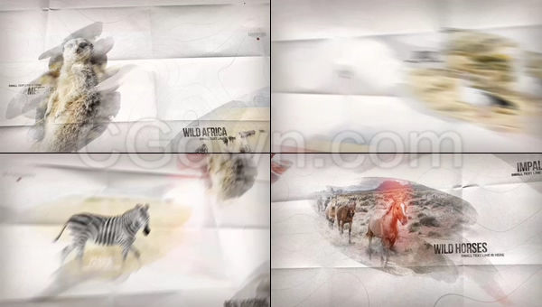 假期旅游相冊探險紀錄片開場野生自然動物視頻動畫-AE模板下載
