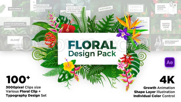 小清新花卉植物元素生长动画自然插图婚礼设计宣传包装-AE模板