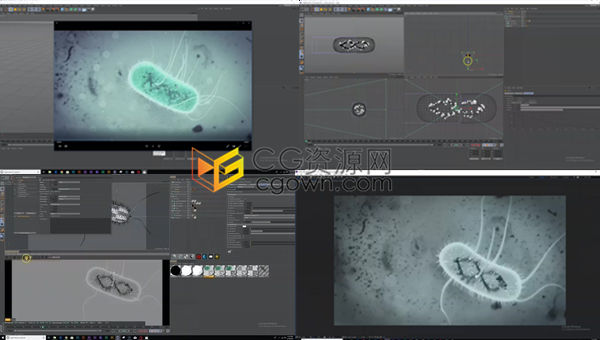 C4D&AE教程大肠杆菌建模细菌触角动画教程