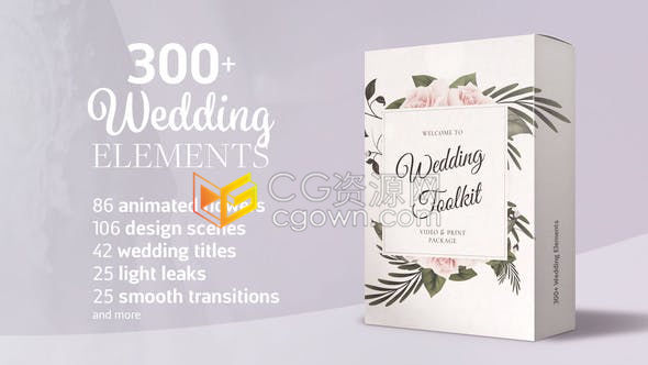 婚礼元素独特婚礼动画场景复古框架装饰花卉婚礼标题设计模型工具包-AE模板