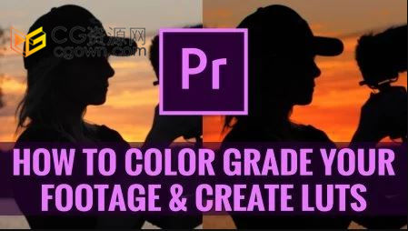 PR初学者教程-如何在PR中为影片着色和创建自定义视频LUTs