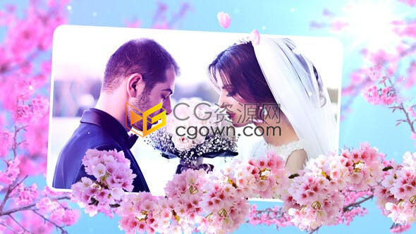 鲜花摇曳花卉枝叶生长花瓣飘零浪漫演绎春天的婚礼视频开场花朵相册-AE模板