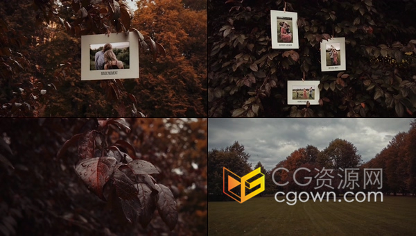4K大气秋季实拍自然植物场景树木枝叶挂着照片合成视频相册-AE模板