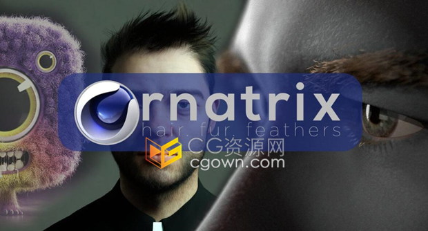 Ephere Ornatrix v2.2.9.29361 C4D毛发插件头免费下载