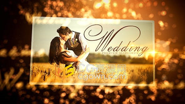 AE模板-金光灿灿温馨背景展示婚礼相册家庭聚会活动视频