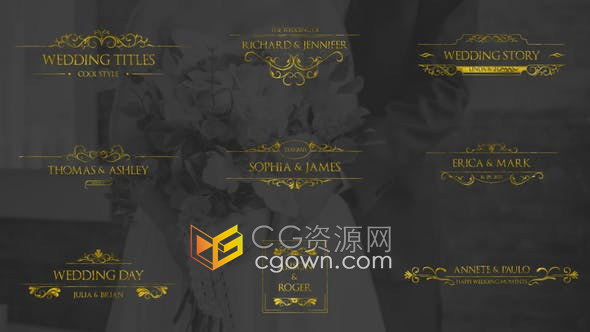 AE模板-金色典雅徽章婚禮標(biāo)簽文字標(biāo)題視頻字幕Gold Wedding Titles