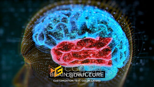 AE模板-介绍大脑结构HUD解剖学医学演示教育机构医学生物学人脑神经元